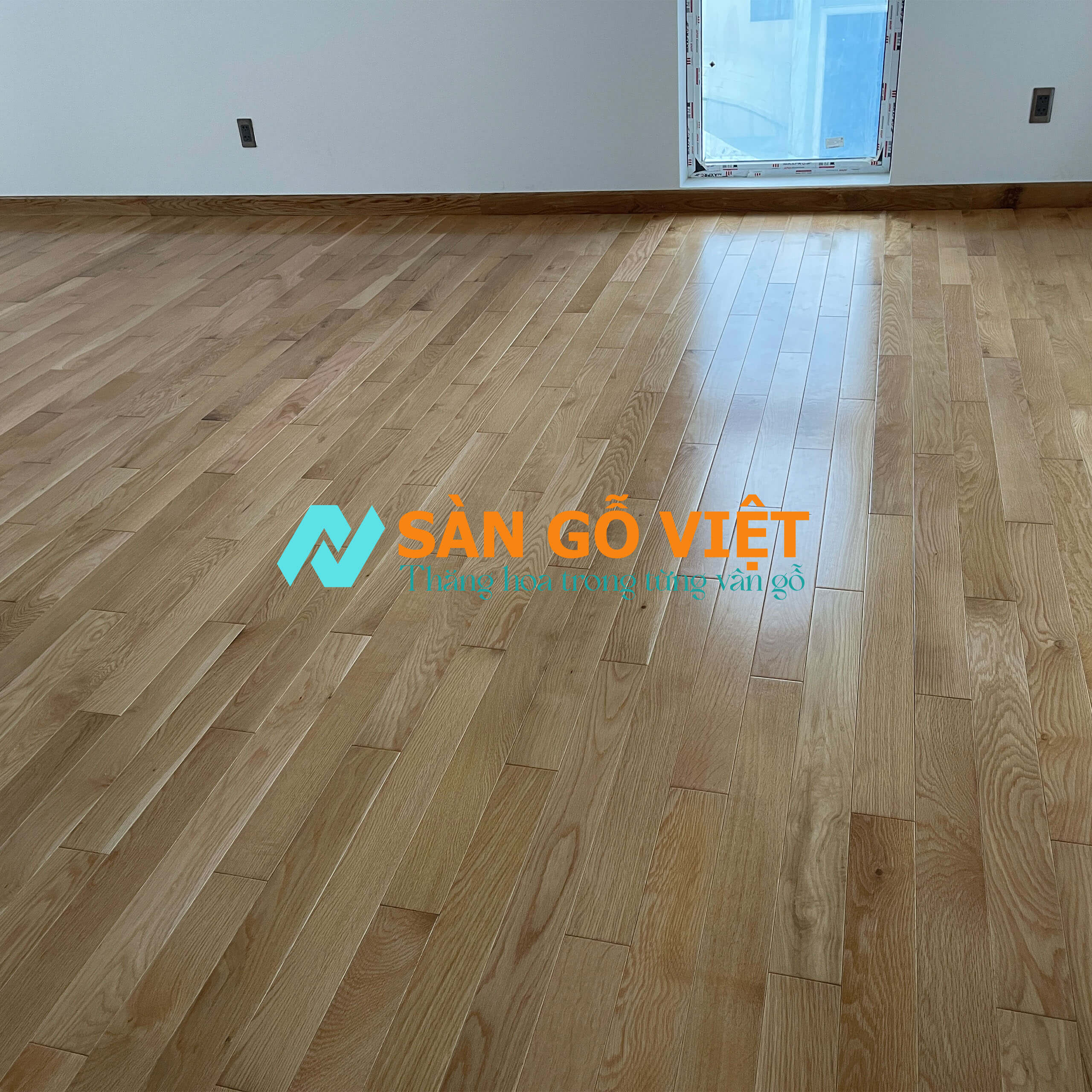 Sàn gỗ sòi Mỹ